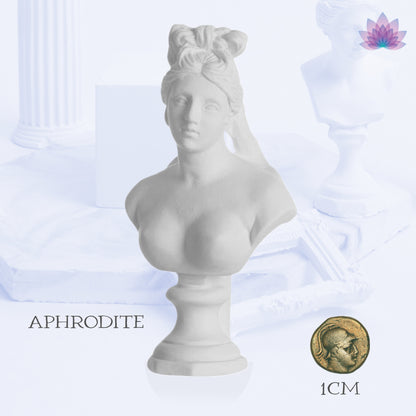 Small Greek Mythology Resin Bust Statues Of Gods And Goddesses Apollo, Athena, Aphrodite, Hermes & Ares | Deity Worship Altar Statue For Pagan Witchcraft Rituals | Drawing Practice Sculpture Props | Apollo Tarot Shop